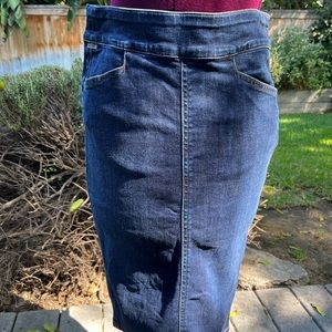 Citizens of Humanity denim pencil skirt